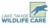 Lake Tahoe Wildlife Care