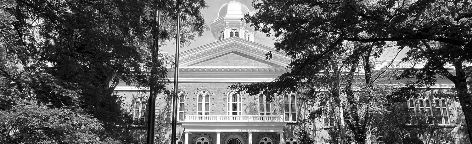 Nevada State Capital